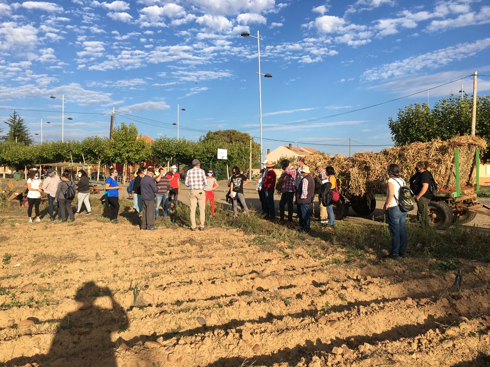 Curso Agricultura 2020